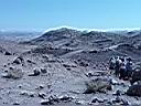 Sinai 9